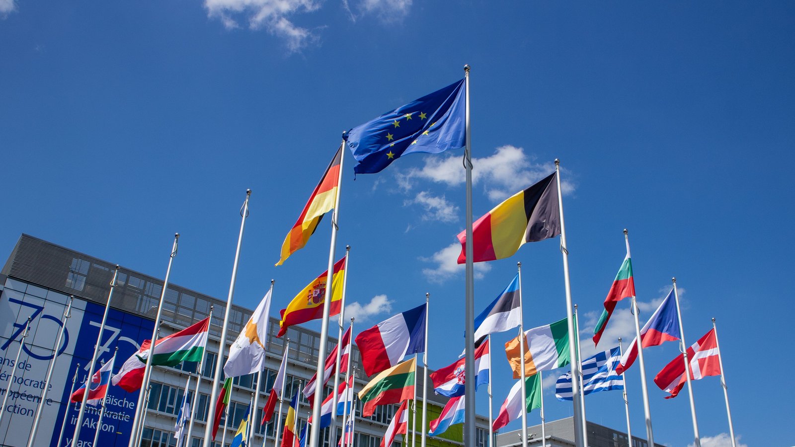 Banderas de países de la Unión Europea flameando junto a la bandera comunitaria contra un cielo despejado
