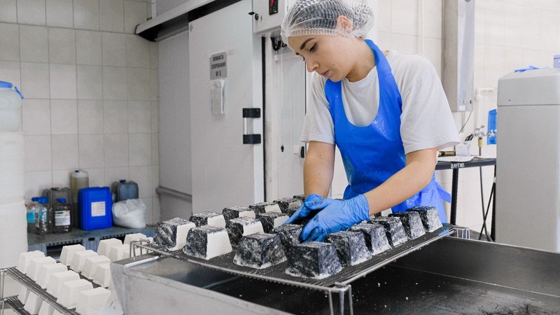 Control de calidad sobre bloques de queso en una planta de producción de alimentos