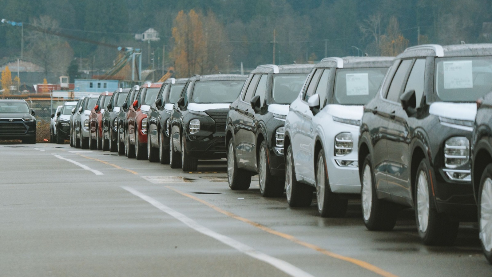 Fila de autos 0km recién llegados sobre un camino, con bosque y una grúa portuaria de fondo