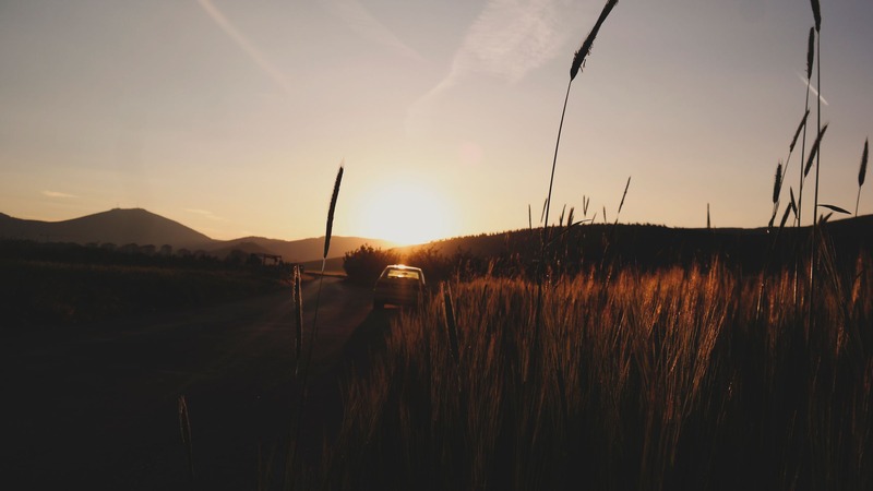 Auto antiguo en silueta sobre un camino rural al atardecer, rodeado de espigas doradas