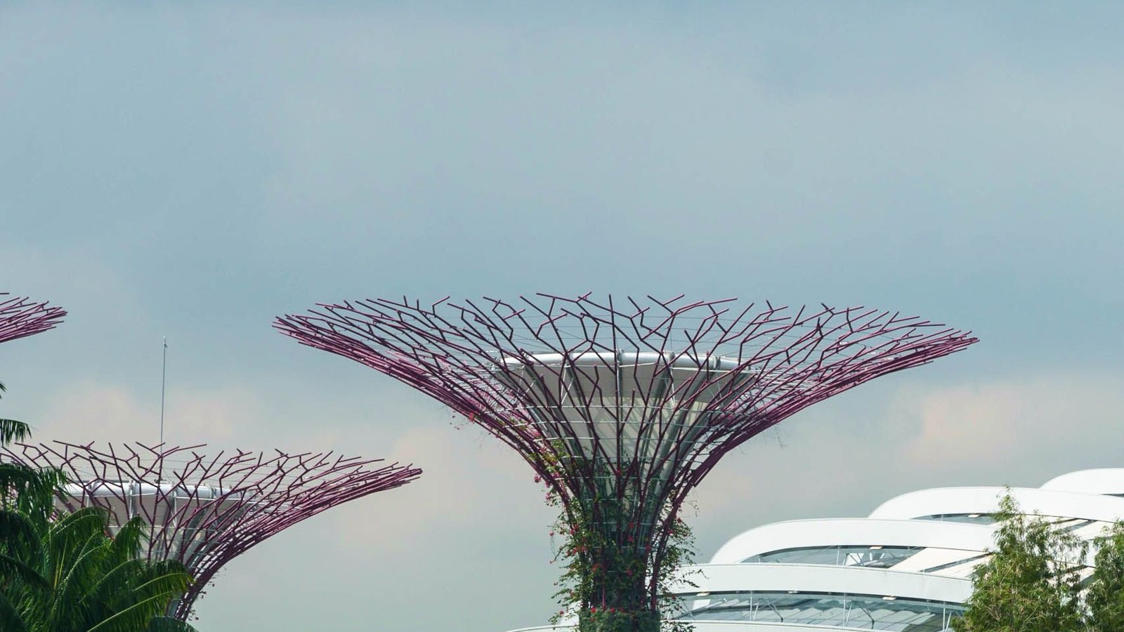 Los Supertrees de Gardens by the Bay, en Singapur, contra un cielo nublado