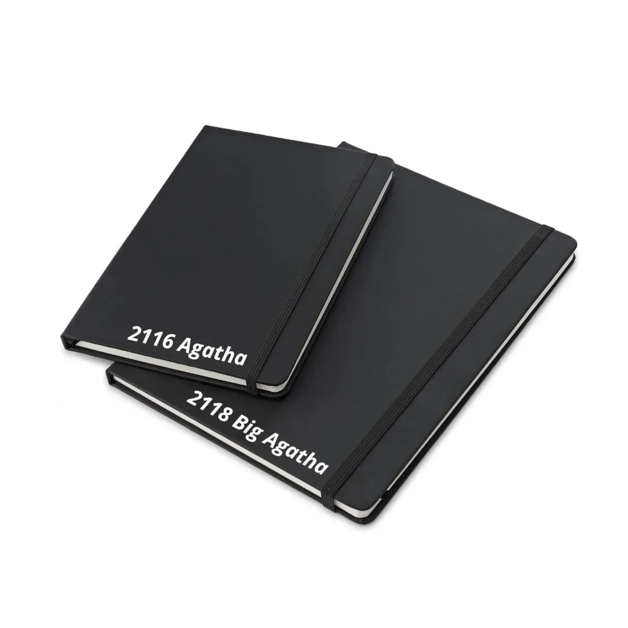 Cuaderno BIG AGATHA 2118 - foto principal