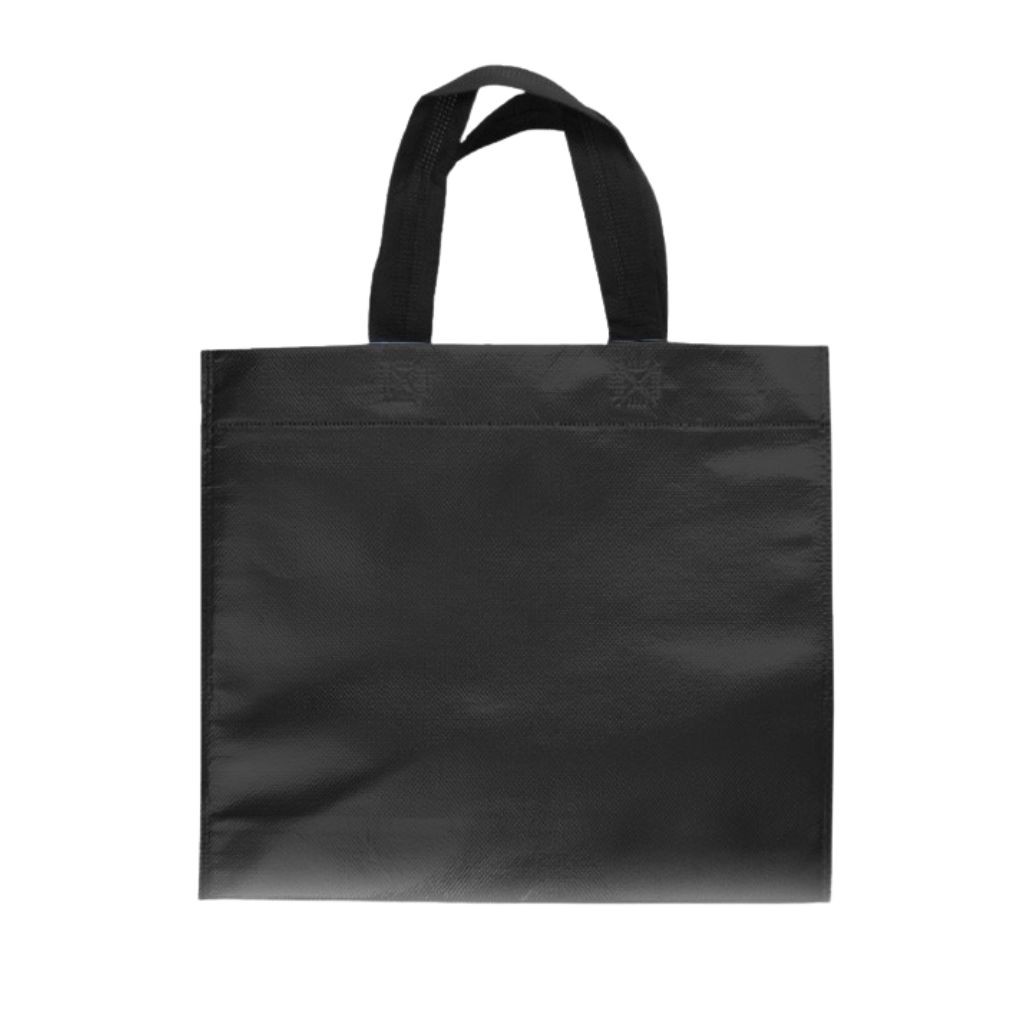Eco Bolsa 30x30x10 Negro Laminada - foto principal