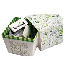 Kit Maceta Armable - foto 1
